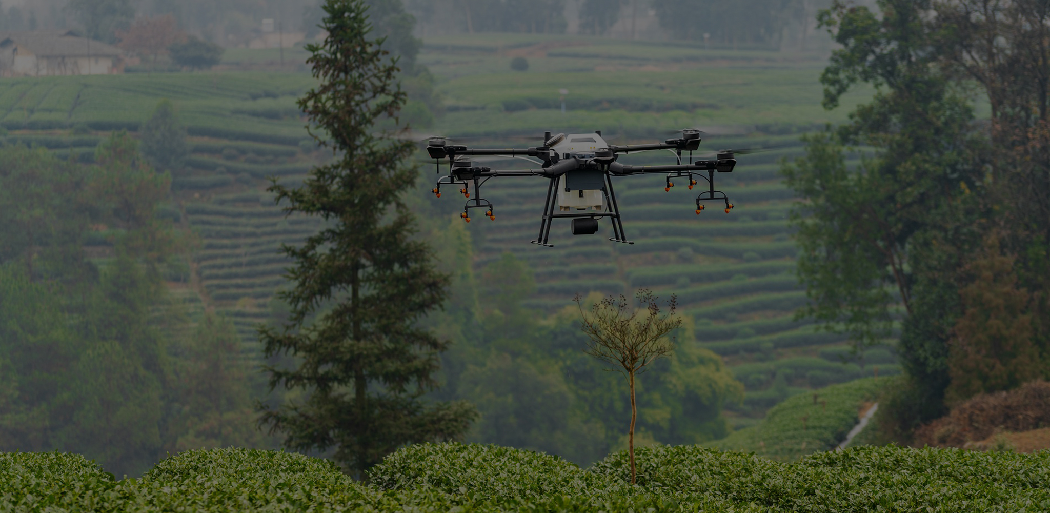 Adaptability Salem Land Salem Land